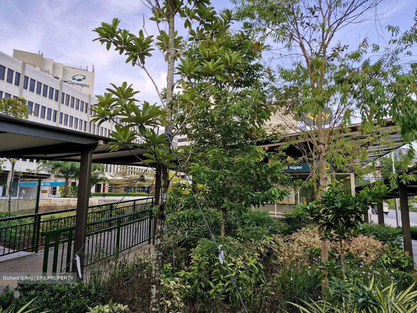 19 Nassim (D10), Apartment #431370471